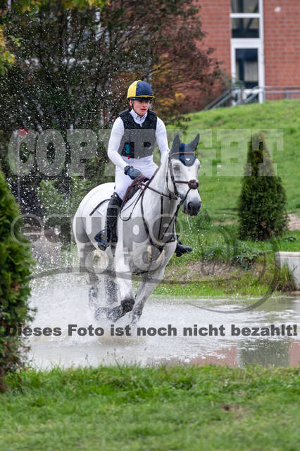 Goldene Schärpe 2020 - Pferde