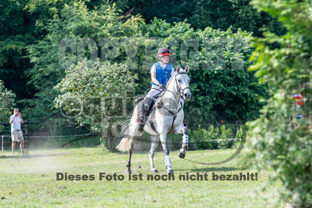 Goldene Schärpe 2021 - Ponys