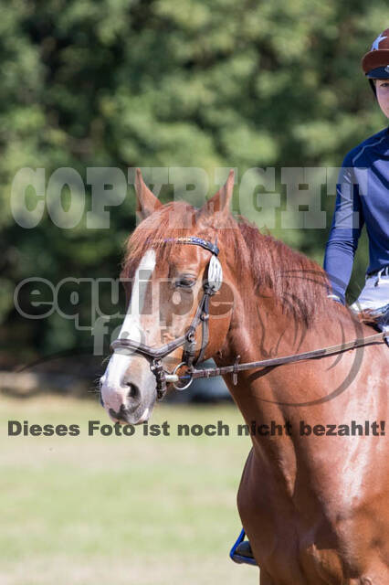 Vielseitigkeitsturnier RSV St. Hubertus Wesel Obrighoven