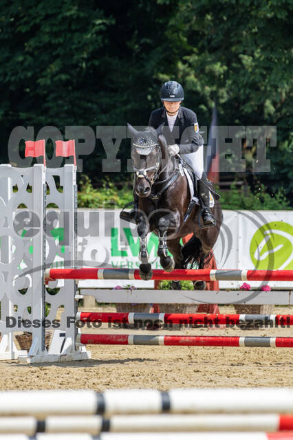 Goldene Schärpe 2021 - Ponys