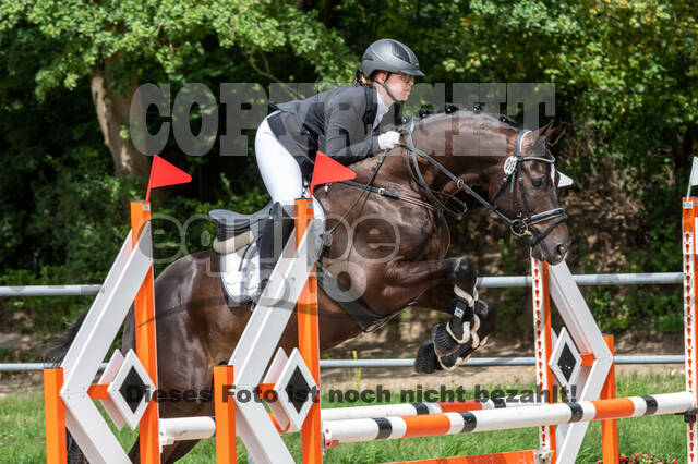 Late-Entry-Vielseitigkeit Langenfeld (06.+07.07.2020)