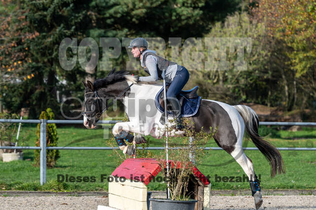 IGV Lehrgang der Sieger der Cups mit Frank Ostholt
