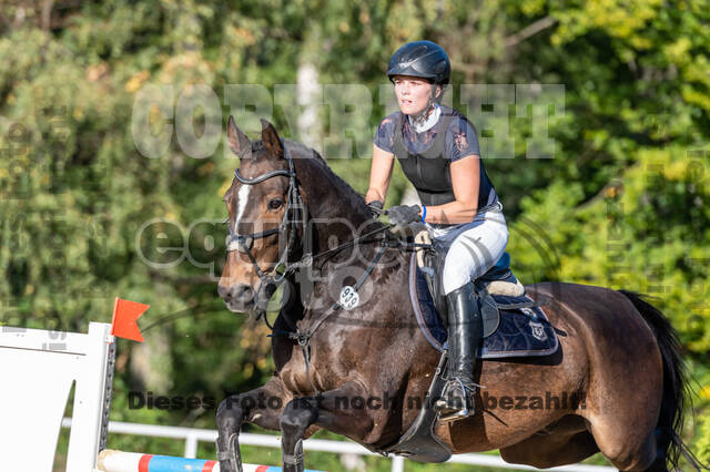 RFV Dinslaken-Hiesfeld (Herbstturnier)