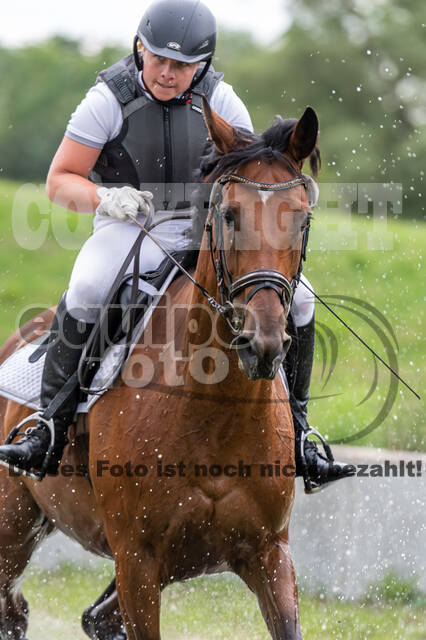 Late-Entry-Vielseitigkeit Langenfeld (06.+07.07.2020)