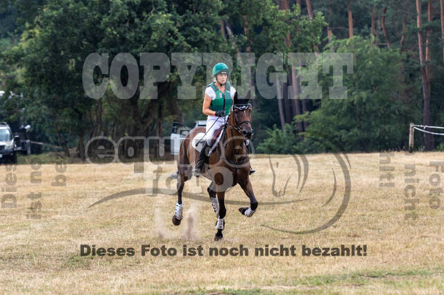 Late-Entry Vielseitigkeit Hamminkeln/Wesel (01.+02.08.2020)