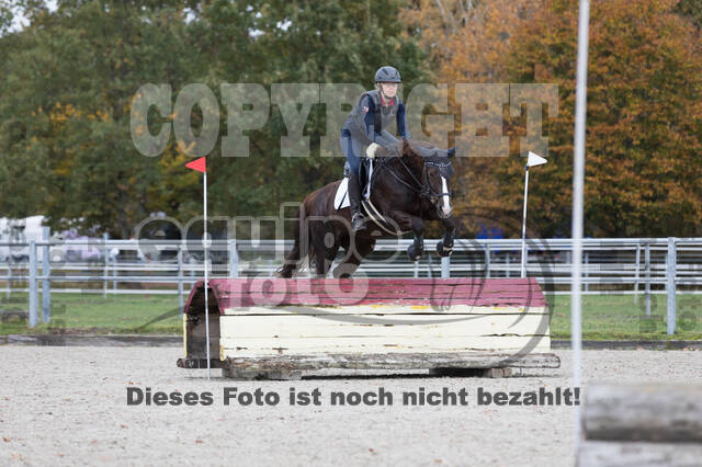 IGV Lehrgang der Sieger der Cups mit Frank Ostholt
