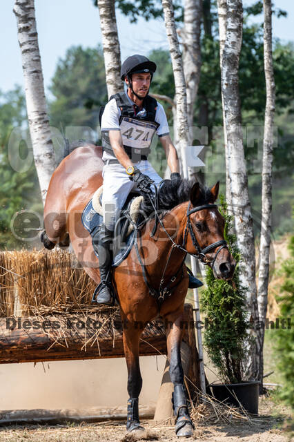 De Peelbergen (August 2020)