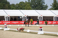 FEI European Championship Eventing 2017