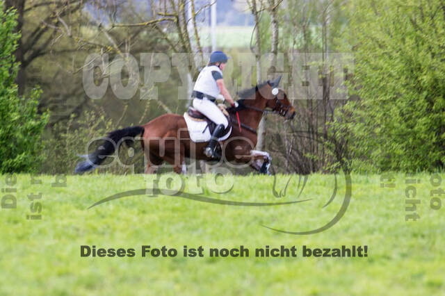 Vielseitigkeitsturnier RV Lippe-Bruch-Gahlen