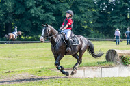 Goldene Schärpe 2021 - Ponys