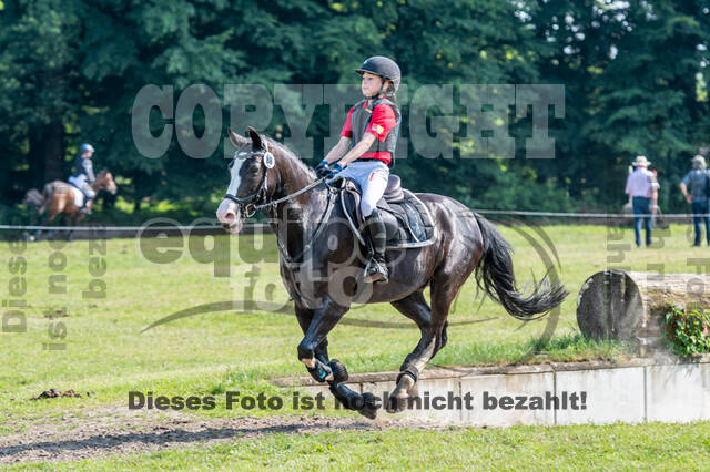 Goldene Schärpe 2021 - Ponys