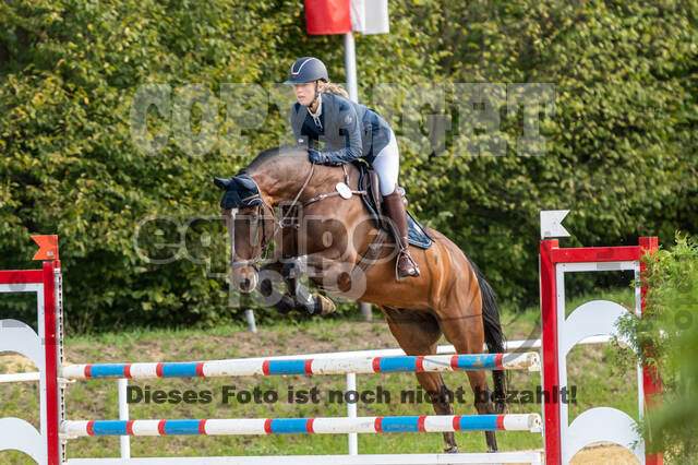 RFV Dinslaken-Hiesfeld (Herbstturnier)