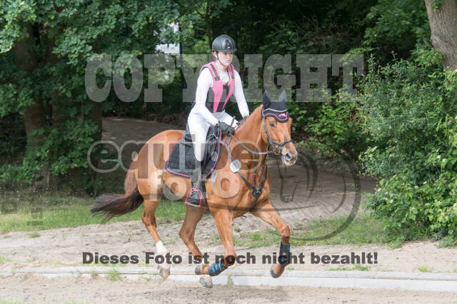 Eventing im Pferdesportzentrum Rheinland