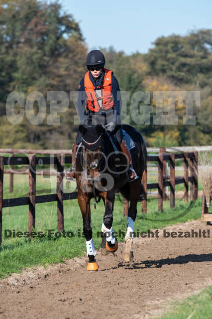 Vielseitigkeitslehrgang mit Jürg Kurbel (9.+10.11.2019)