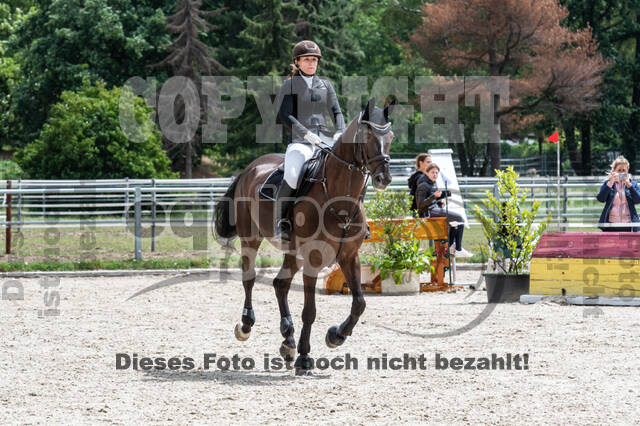 Late-Entry-Vielseitigkeit Langenfeld (06.+07.07.2020)