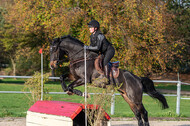 IGV Lehrgang der Sieger der Cups mit Frank Ostholt