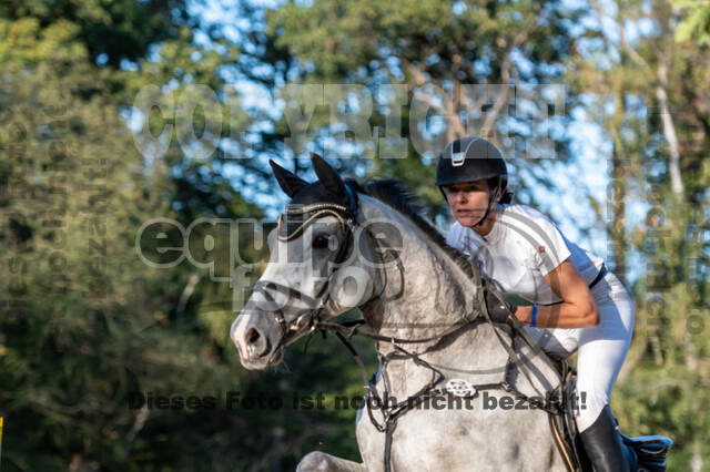 RFV Dinslaken-Hiesfeld (Herbstturnier)