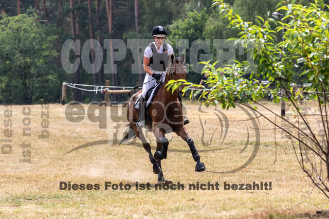 Late-Entry Vielseitigkeit Hamminkeln/Wesel (01.+02.08.2020)