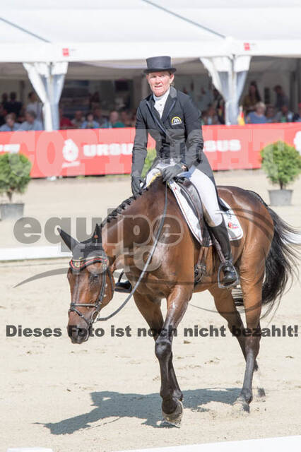 FEI European Championship Eventing 2017