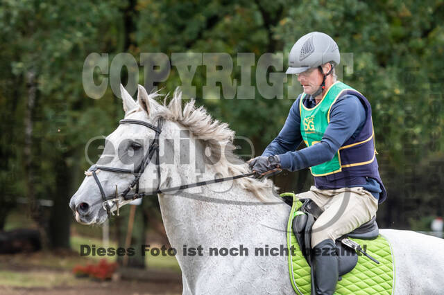 Vielseitigkeit RSV Wesel Obrighoven (26.+27.09.2020)