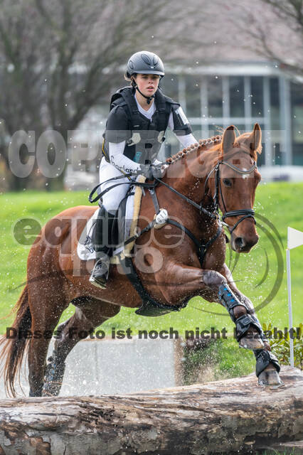 Goldene Schärpe 2020 - Pferde