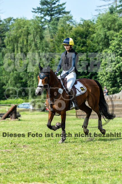 Goldene Schärpe 2021 - Ponys