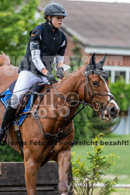 Late-Entry-Vielseitigkeit Langenfeld (11.+13./14.06.2020)