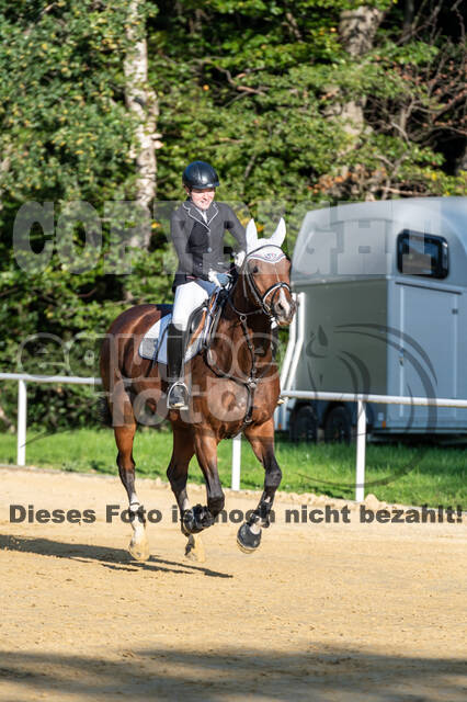 RFV Dinslaken-Hiesfeld (Herbstturnier)