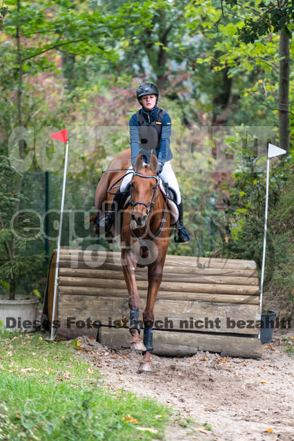 Goldene Schärpe 2020 - Pferde