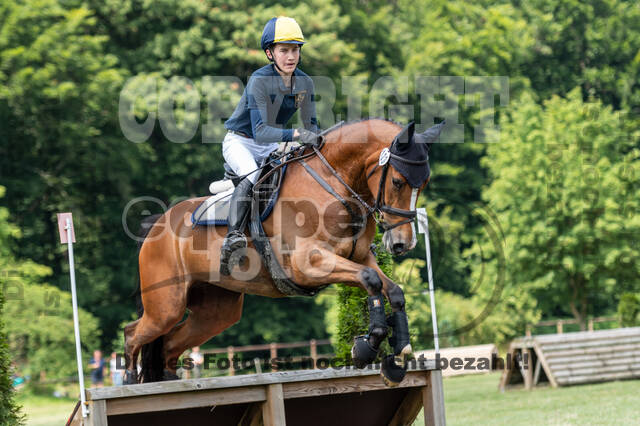 Goldene Schärpe 2021 - Ponys