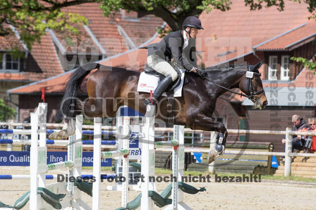 Sterne über Münster 2019 - CCI***S