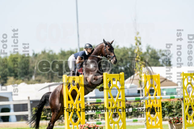 Kronenberg - De Peelbergen (August 2020)