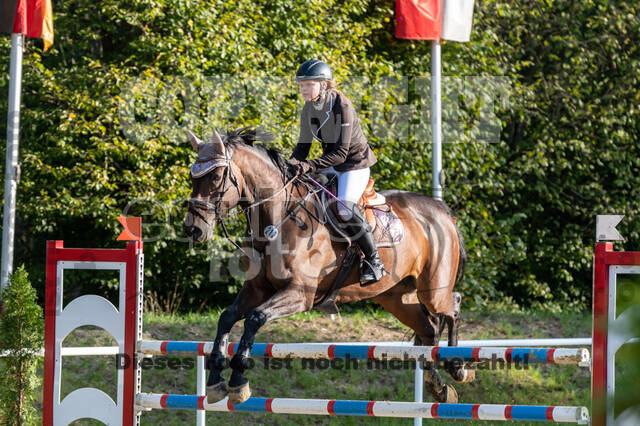 RFV Dinslaken-Hiesfeld (Herbstturnier)