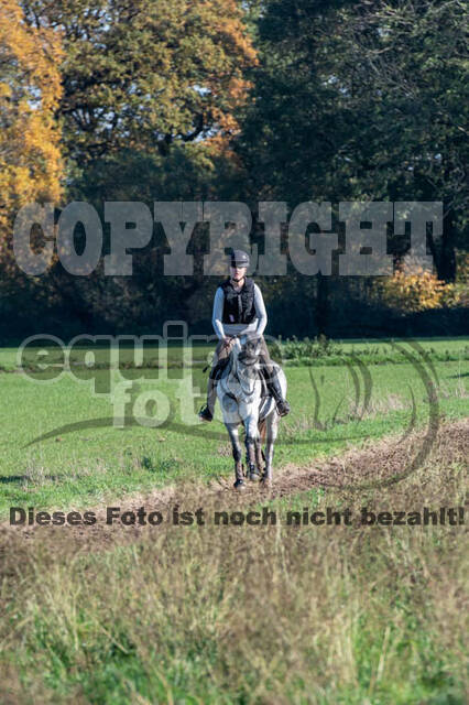 Vielseitigkeitslehrgang mit Jürg Kurbel (9.+10.11.2019)