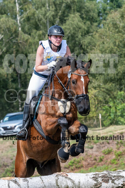 Late-Entry Vielseitigkeit Hamminkeln/Wesel (01.+02.08.2020)