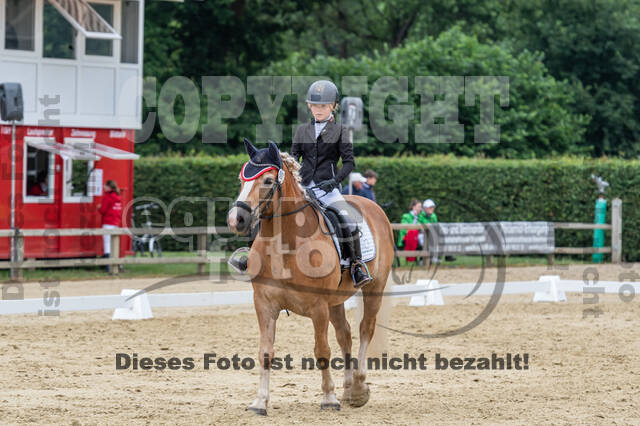 Goldene Schärpe 2021 - Ponys