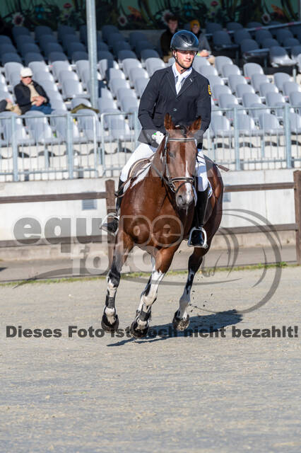 Deutsche Meisterschaft Vielseitigkeit (Luhmühlen)