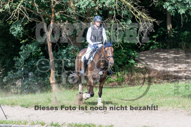 Late-Entry-Vielseitigkeit Langenfeld (11.+13./14.06.2020)