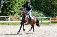 Late-Entry-Vielseitigkeit Langenfeld (11.+13./14.06.2020)