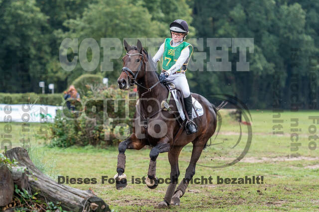 Vielseitigkeit RSV Wesel Obrighoven (26.+27.09.2020)