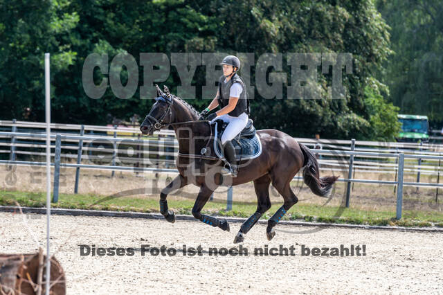 Late-Entry-Vielseitigkeit Langenfeld (11.+13./14.06.2020)