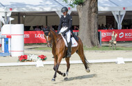 FEI European Championship Eventing 2017