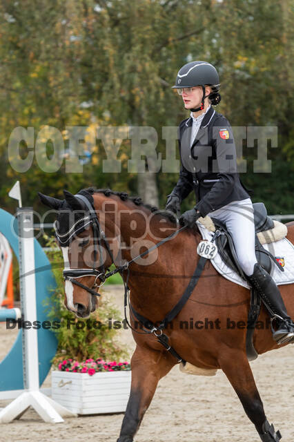 Goldene Schärpe 2020 - Pferde