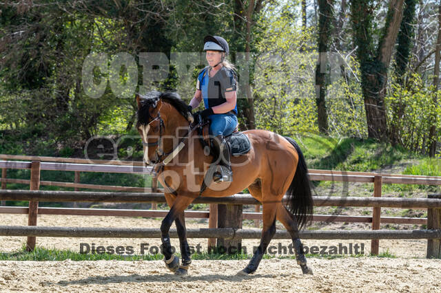 Geländetraining ZRFV Hamminkeln (24+25.04.2021)