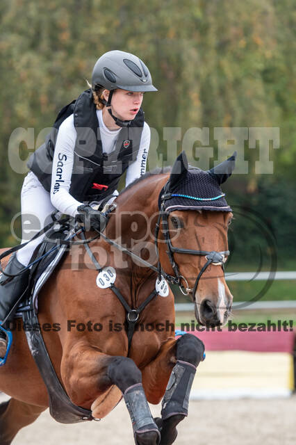 Goldene Schärpe 2020 - Pferde