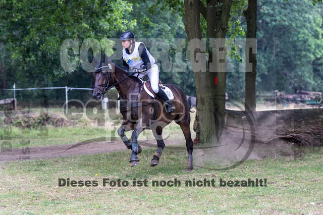 Late-Entry Vielseitigkeit Hamminkeln/Wesel (01.+02.08.2020)