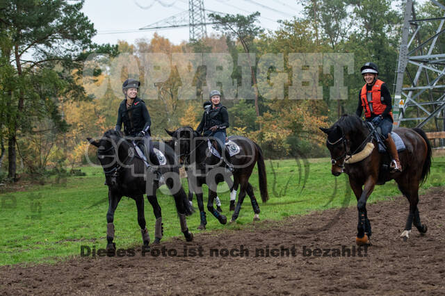 Training Bettina Hoy (01.11.2020)