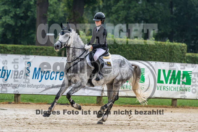 Goldene Schärpe 2021 - Ponys