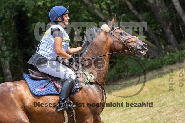 Late-Entry Vielseitigkeit Hamminkeln/Wesel (01.+02.08.2020)