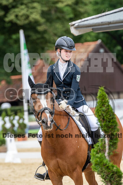 Goldene Schärpe 2021 - Ponys